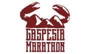 Logo-menu